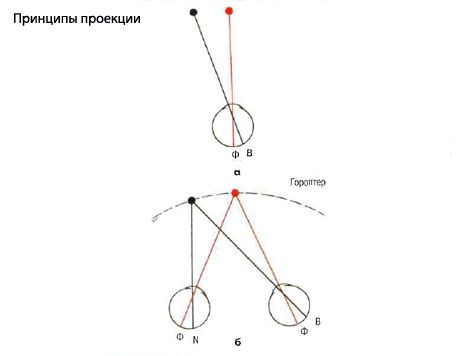 Segadus ja diploopia