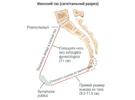 Vaagna tervikuna