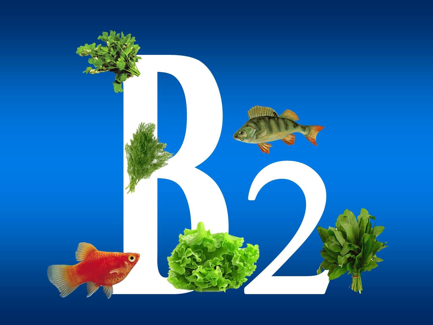 Omadused B2