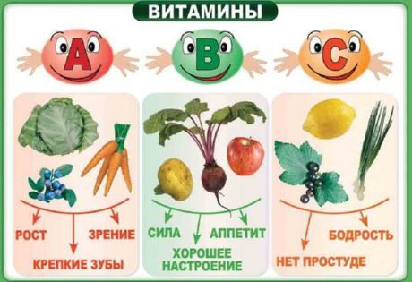 Miks mul on vitamiine vaja?